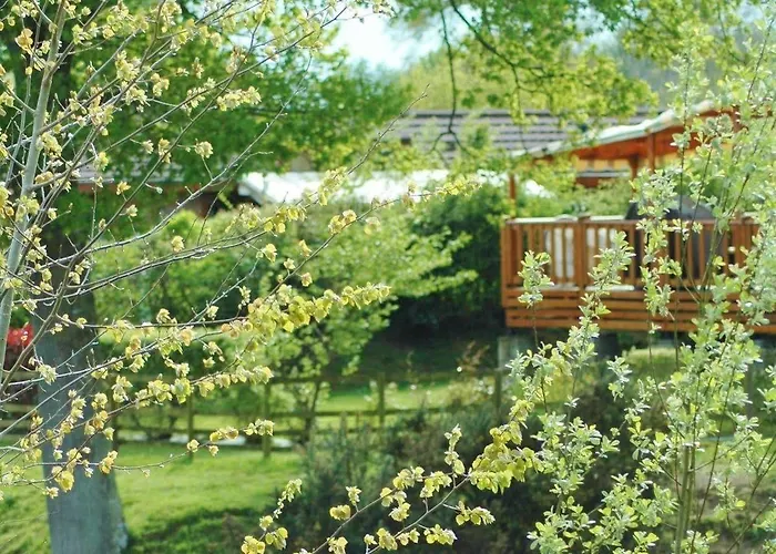 Campsite Officiel Siblu Domaine De 4*